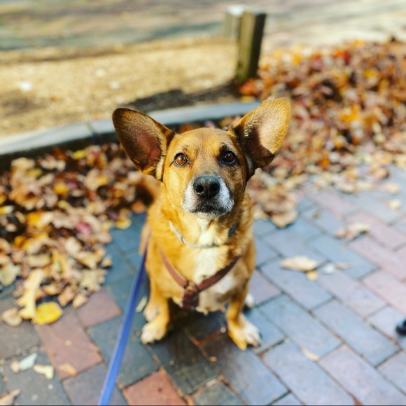 Meet Your Posh Ambassador!! - Picture 2 of 3